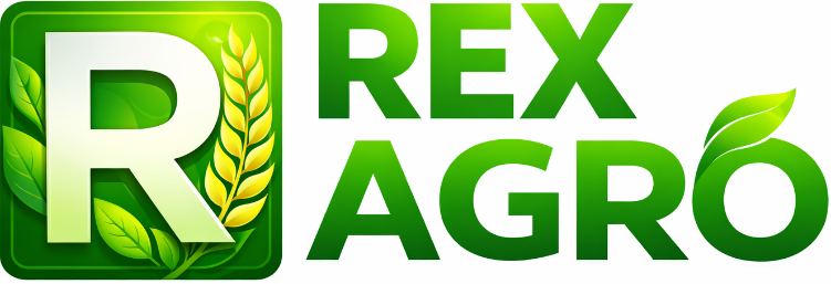 icon - /uploads/s/c/n/t/cnt5zgi5lgkw/img/full_FWdOk4j4.png