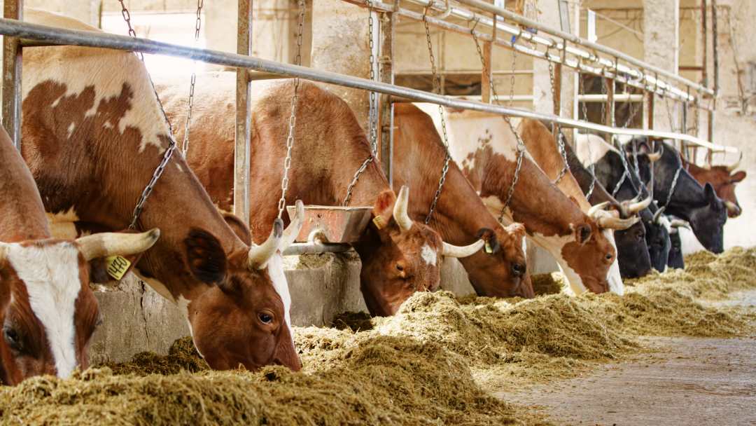 <p>I'm a service! </p>