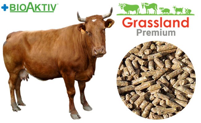 COMBICORM PENTRU BOVINE