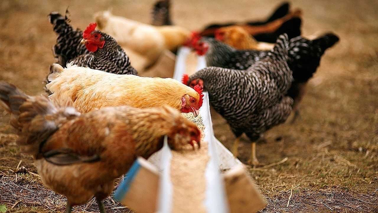 <p>I'm a service! </p>