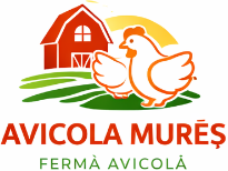 icon - /uploads/s/c/n/t/cnt5zgi5lgkw/img/full_utR47IpY.png